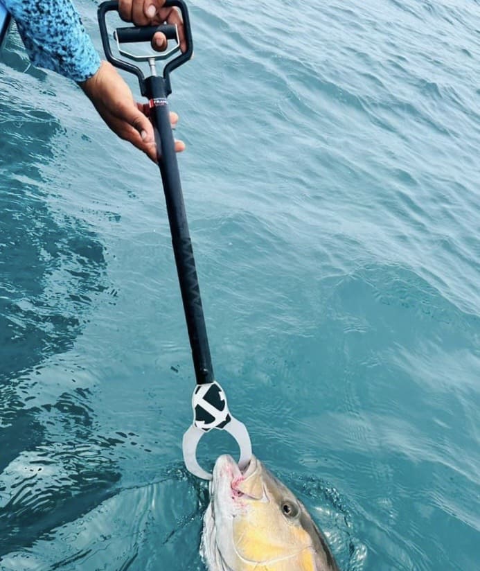 pince-a-thon-3 - Copie.jpg